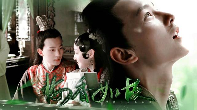 杨洋特战荣耀